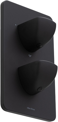 Allen Brau Смеситель для ванны Infinity 5.21316-31 (с внутренней частью, 3 выхода) черный матовый – фотография-2